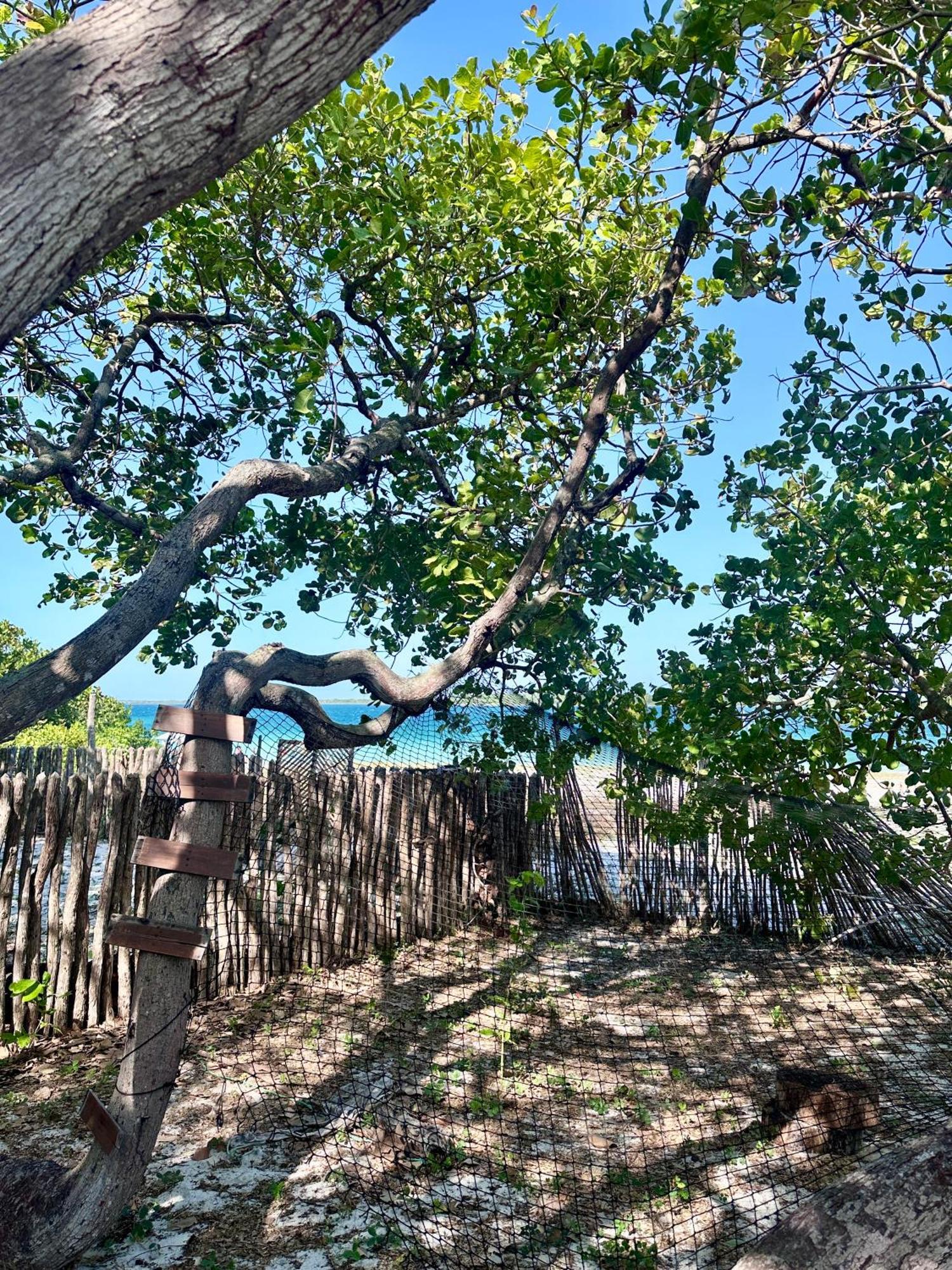 Manay Lagoa Do Paraiso, Casa 2 Quartos Na Beira Da Lagoa Villa Jijoca de Jericoacoara Exterior photo